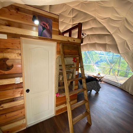 Glamping Pucoyan Futrono Dış mekan fotoğraf